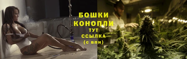 соль ск Богданович