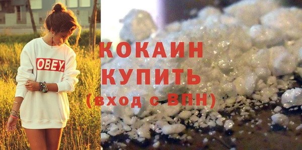 соль ск Богданович