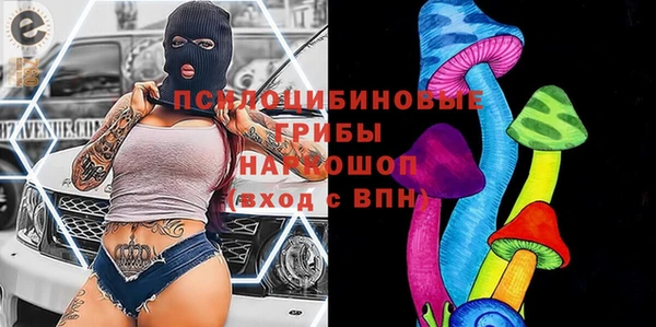 Альфа ПВП Богородск