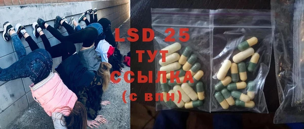 соль ск Богданович